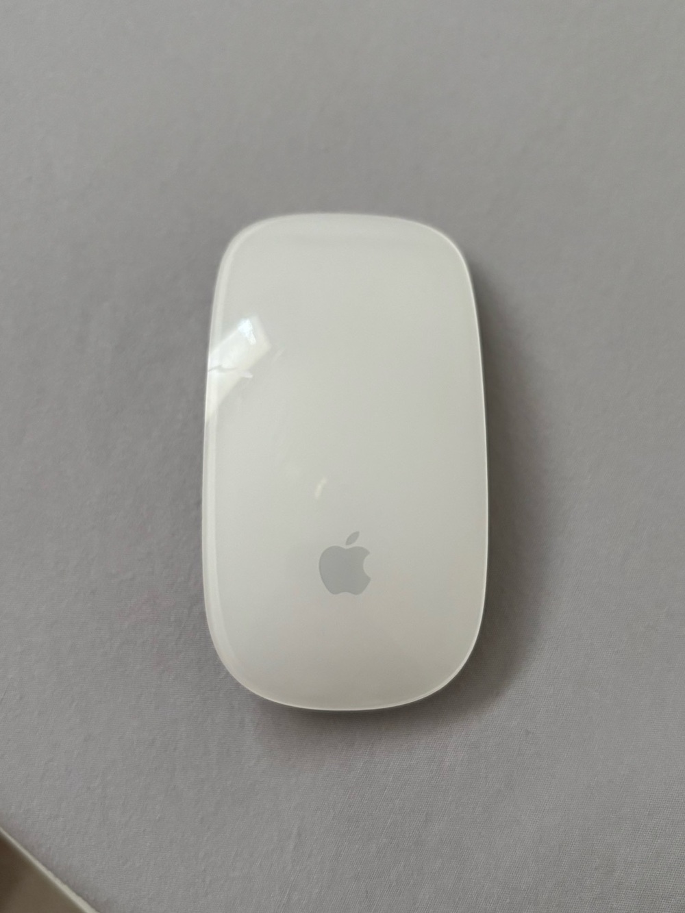 Apple Magic Mouse - Multi Touch - White
